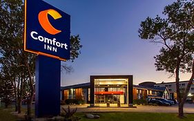 Comfort Inn South  3*